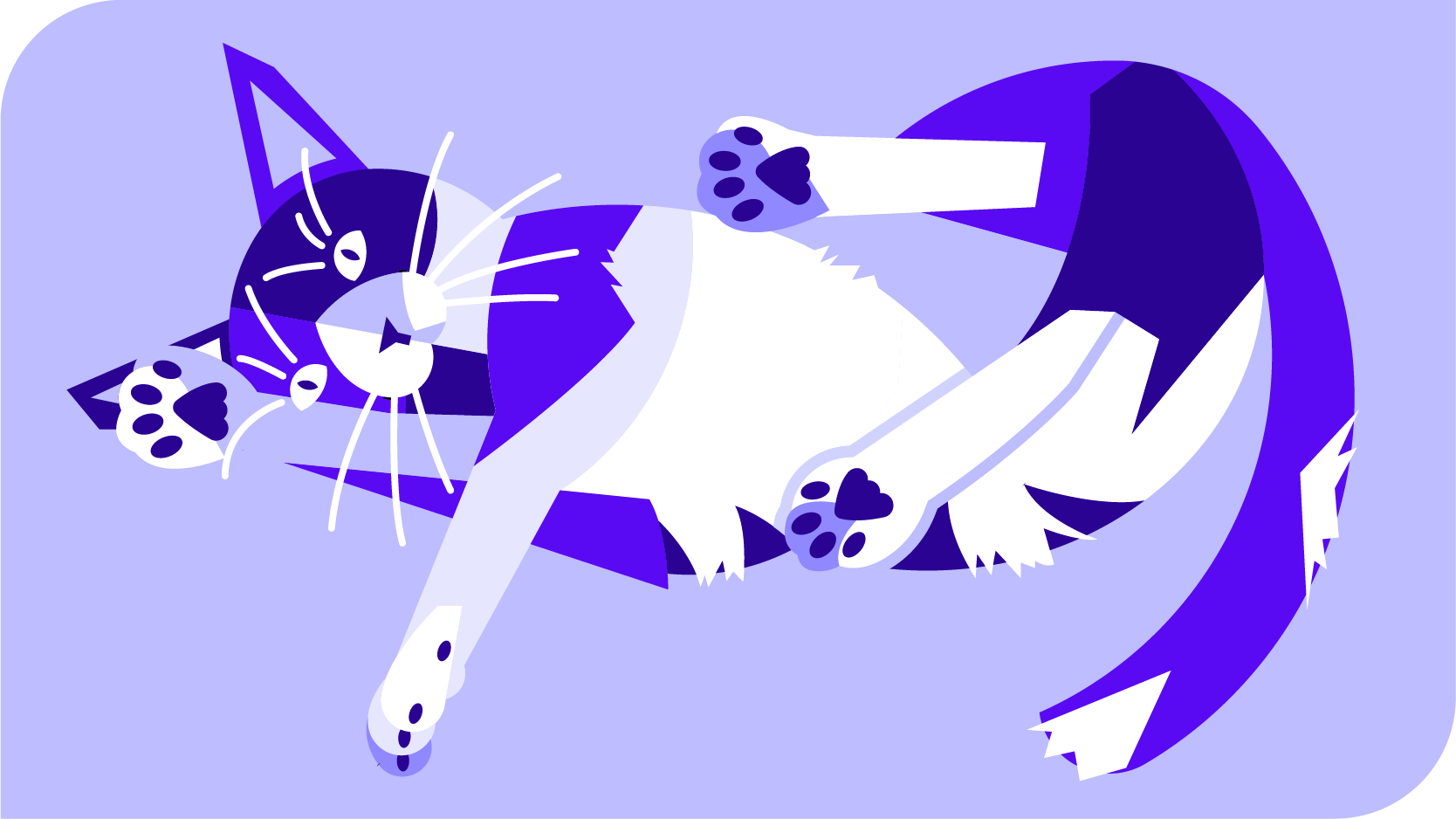 geometric cat drawing abstract cute personality feline purple happy